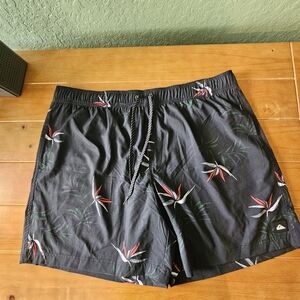 NWT-  Mens Quiksilver Lined Black Swim Trunks Size XXL